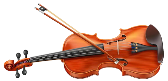 Violin