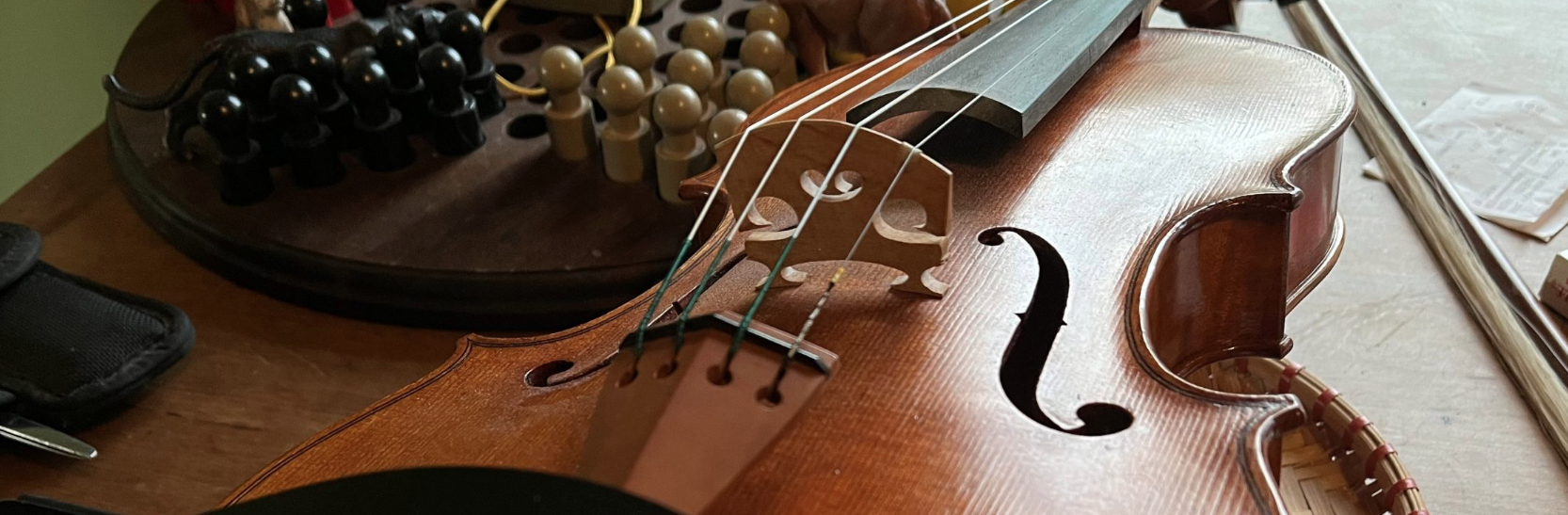 Violin detail
